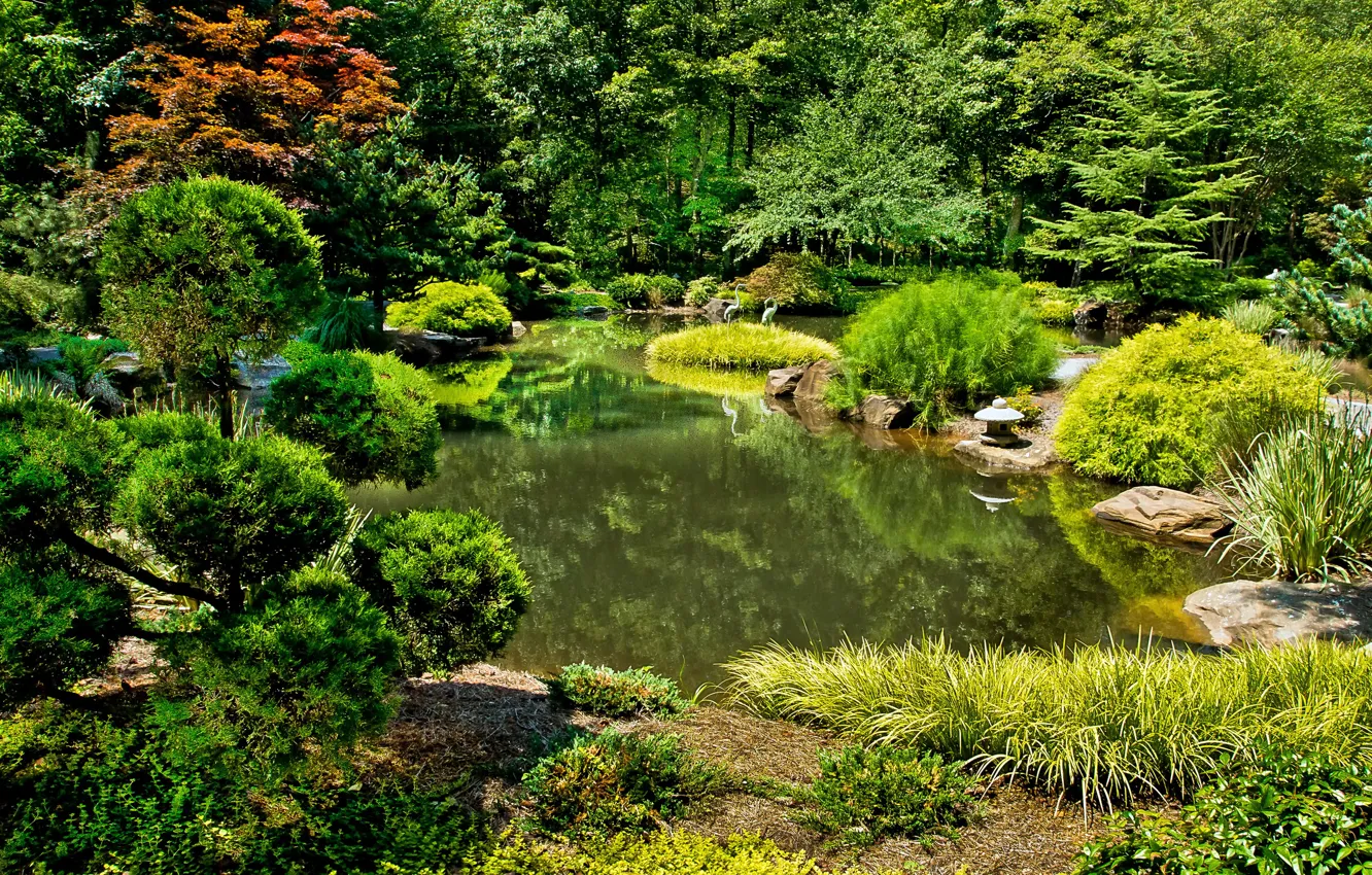 Photo wallpaper nature, pond, photo, garden, USA, the bushes, Gibbs Gardens Ball Ground