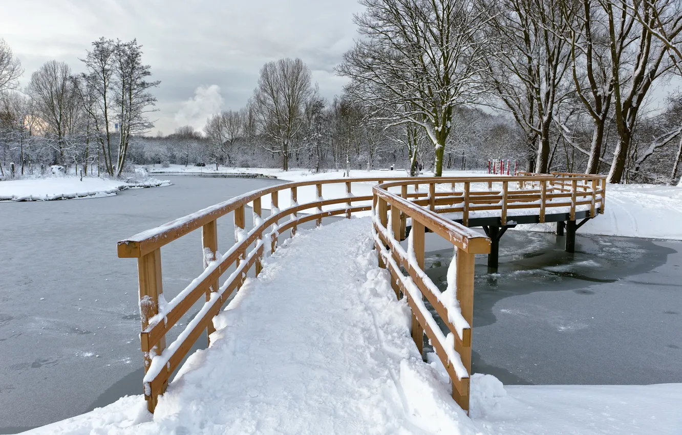 Photo wallpaper winter, bridge, Park