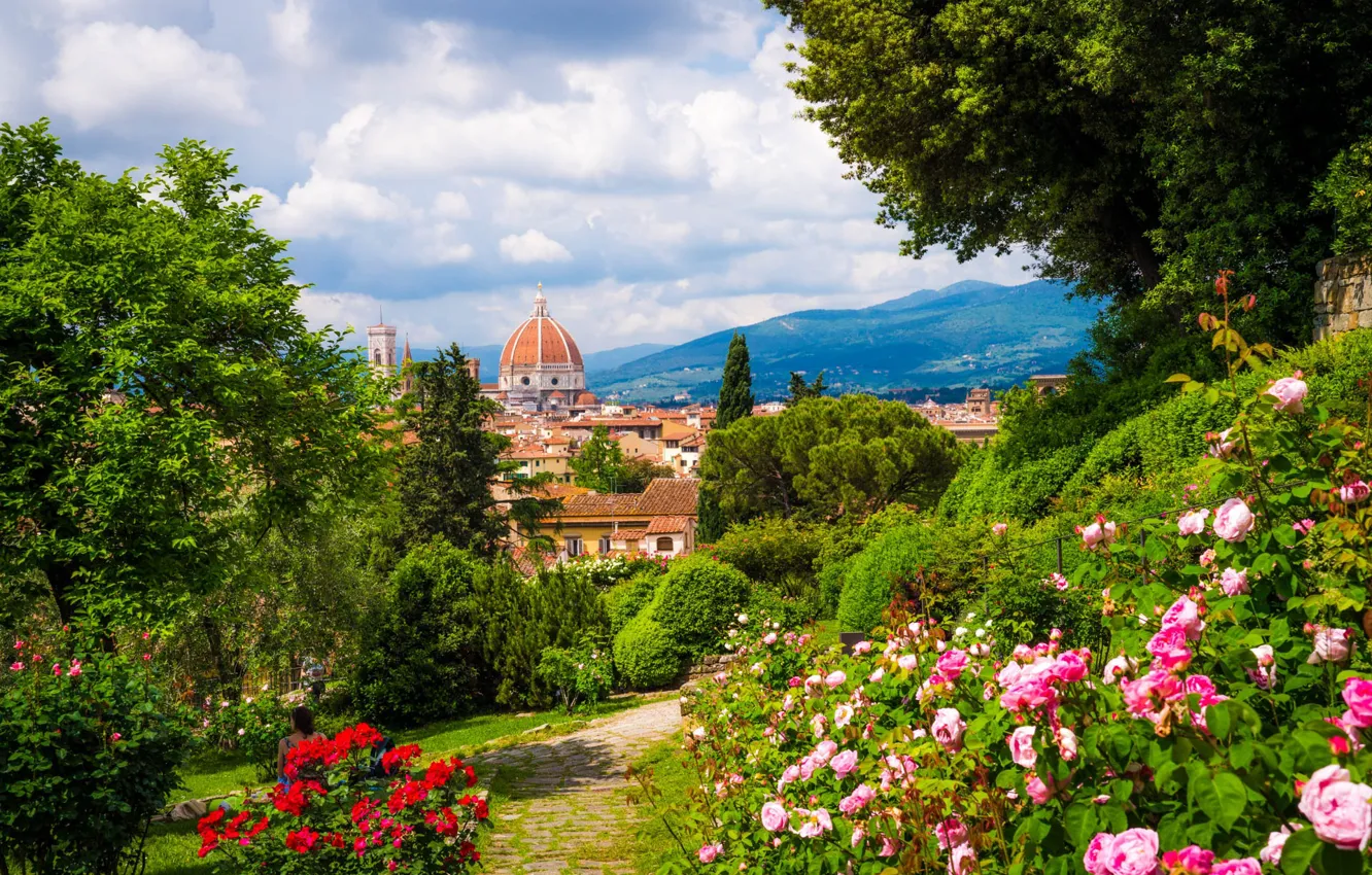 Photo wallpaper summer, flowers, mountains, trail, Florence