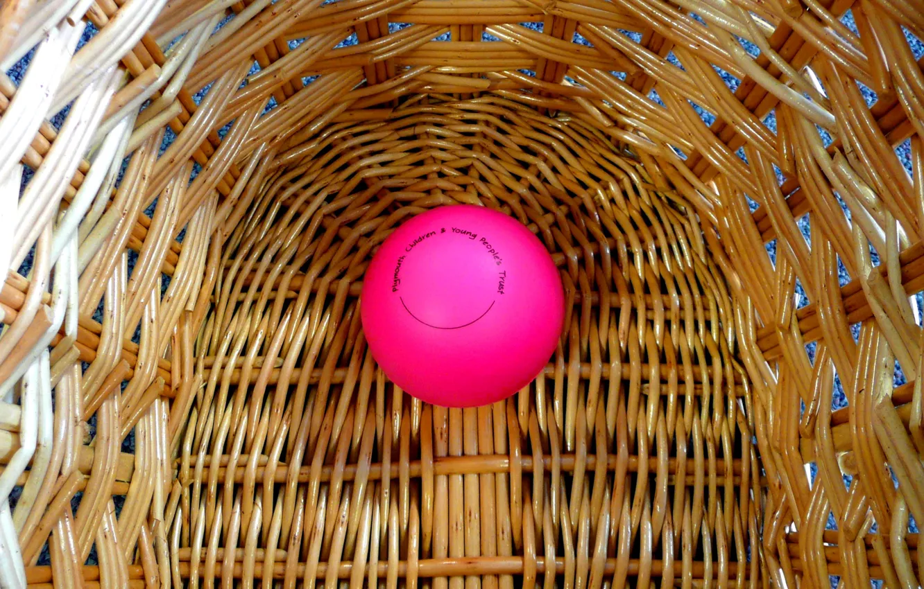 Photo wallpaper basket, the ball, rods