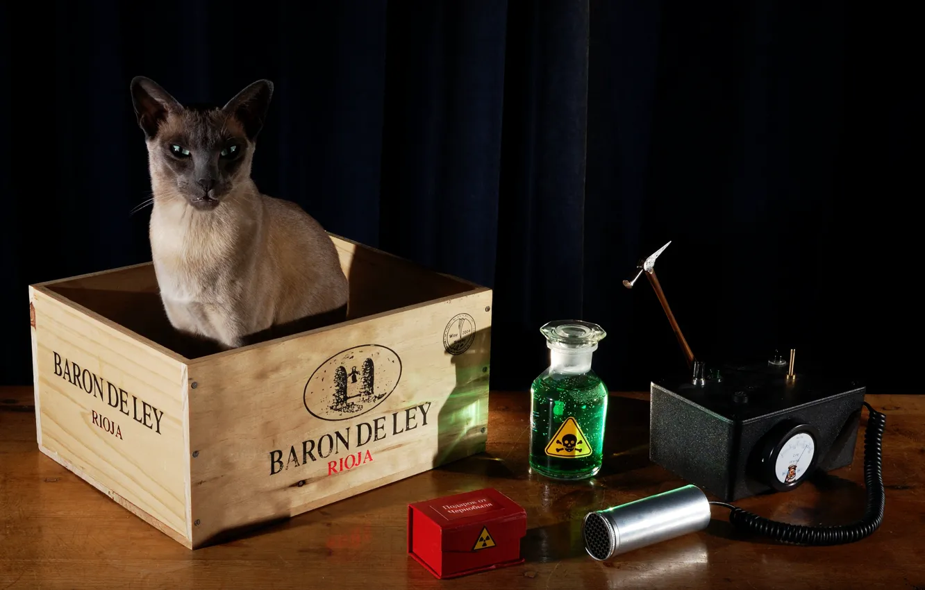 Photo wallpaper cat, table, radiation, black background, still life, box, physics, device