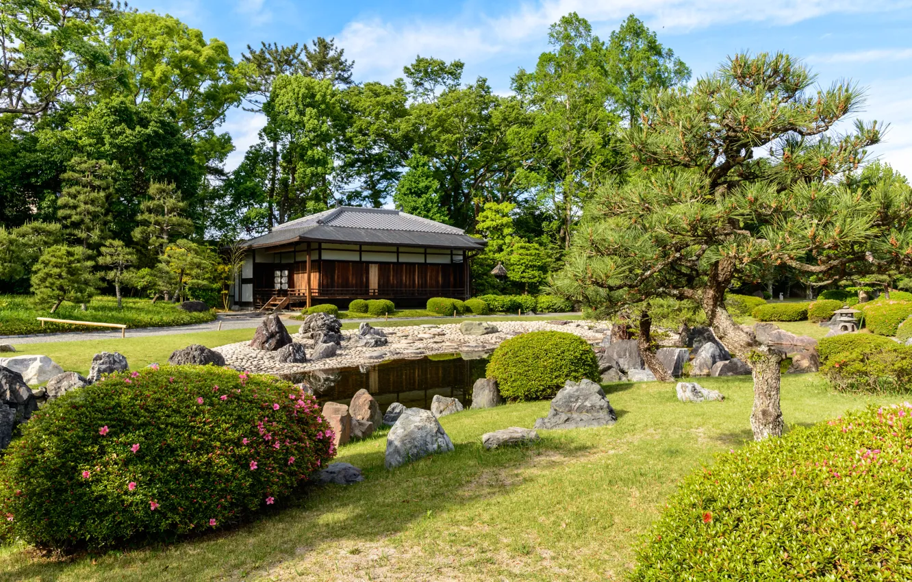 Photo wallpaper nature, pond, Park, Japan, garden, Kyoto