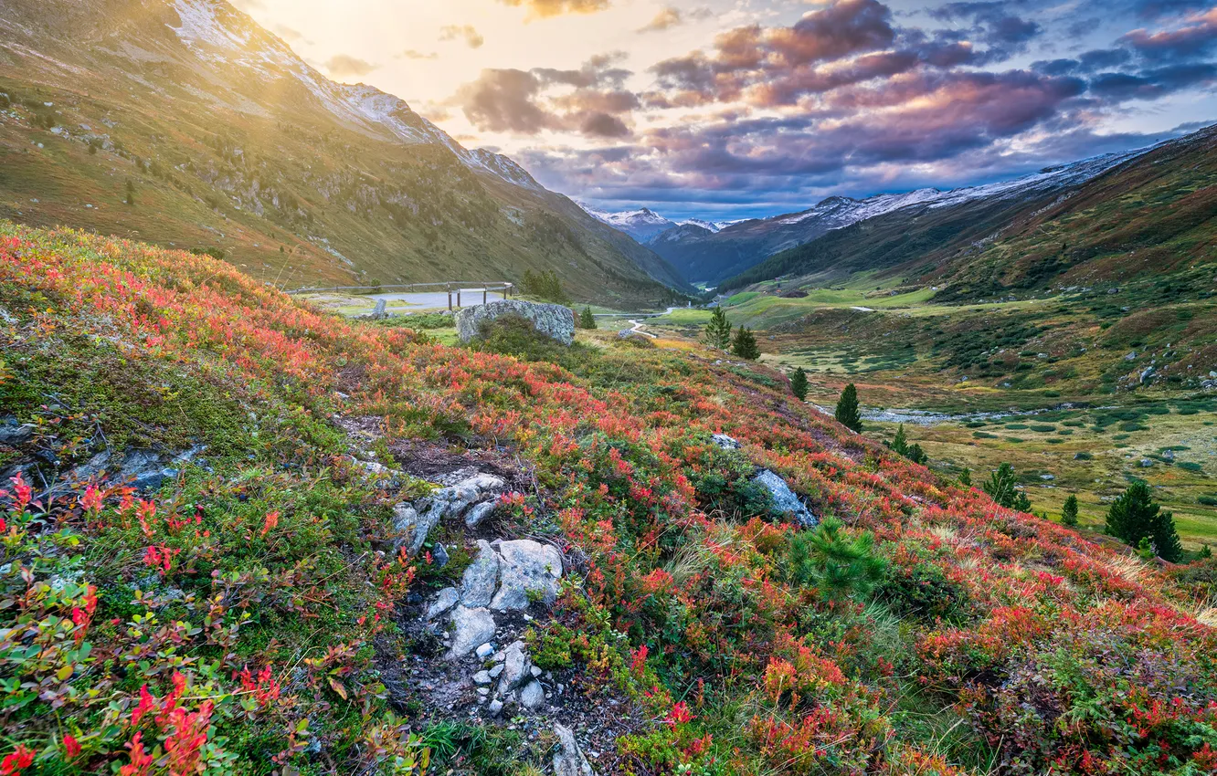 Photo wallpaper the sun, landscape, mountains, Switzerland, Alps