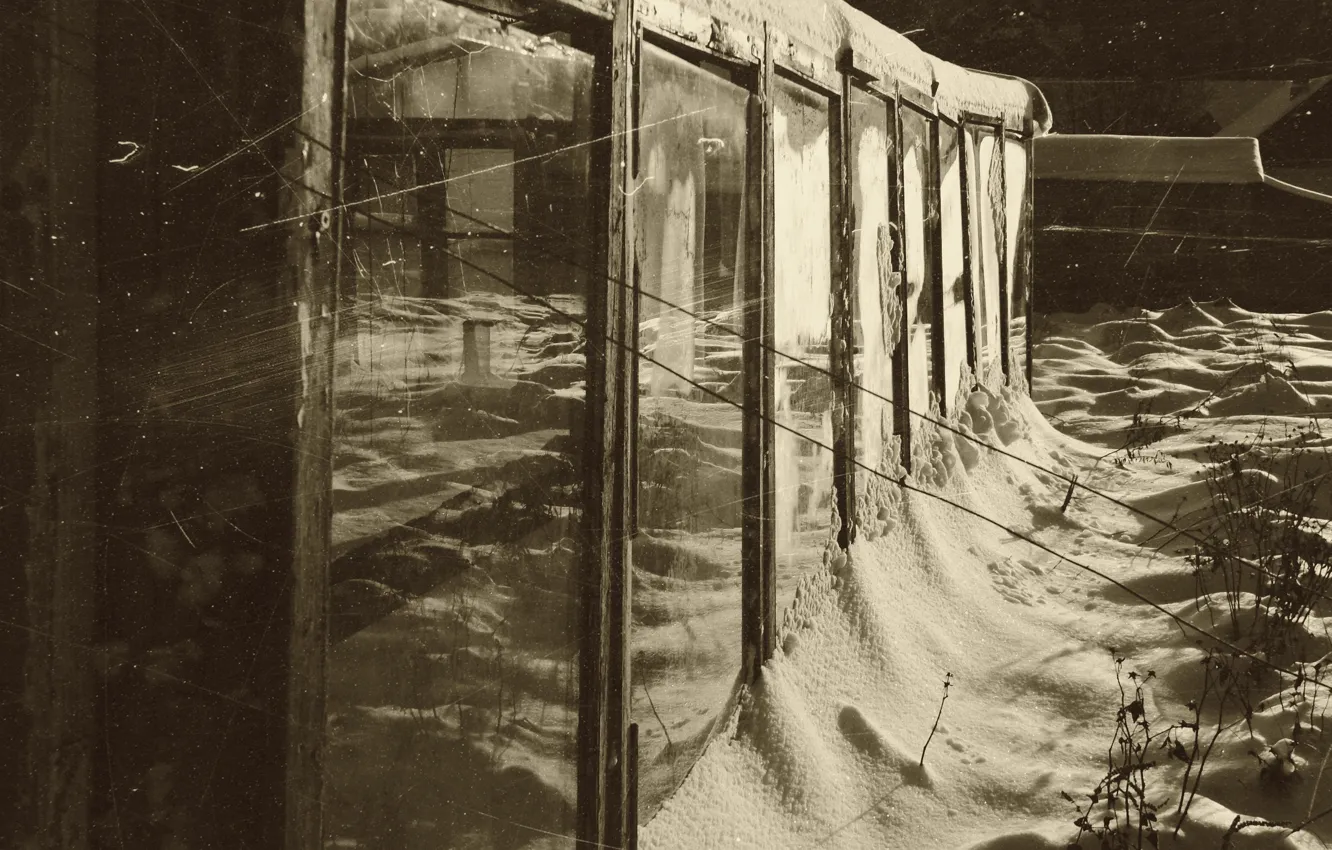 Photo wallpaper winter, fading, Sepia, the garden, vintage