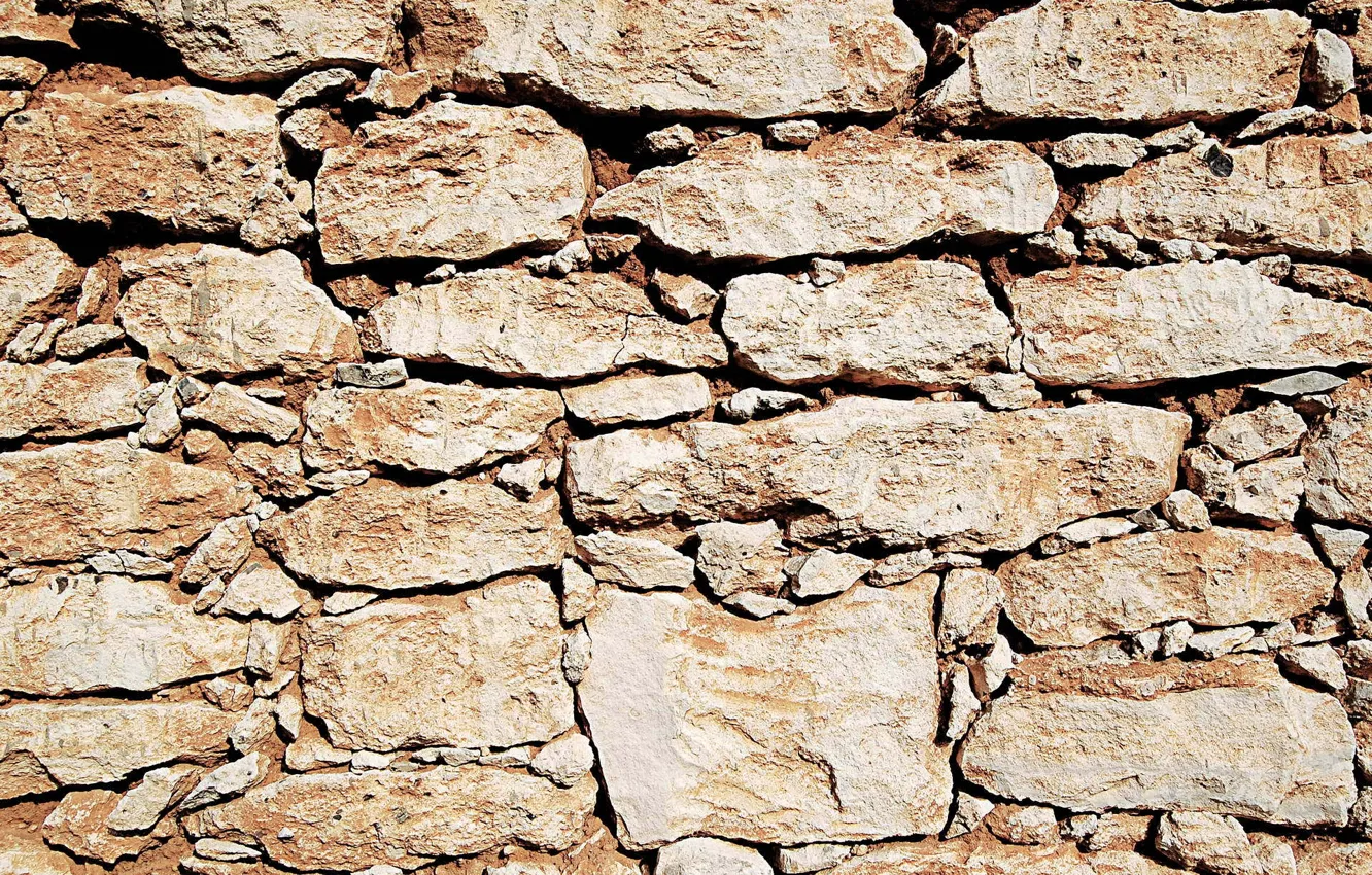 Photo wallpaper wall, stone, texture, brown