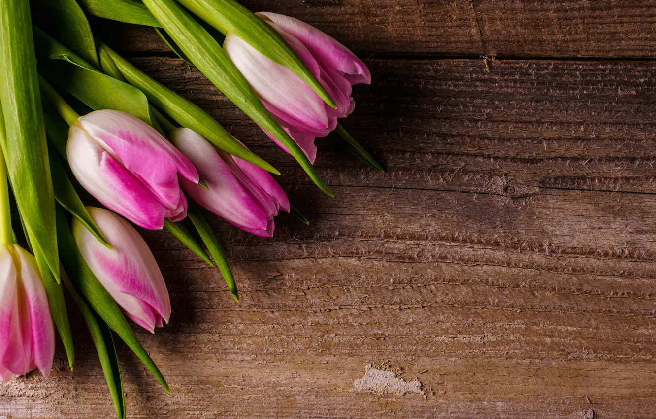 Photo wallpaper flowers, bouquet, tulips, pink, fresh, wood, pink, flowers