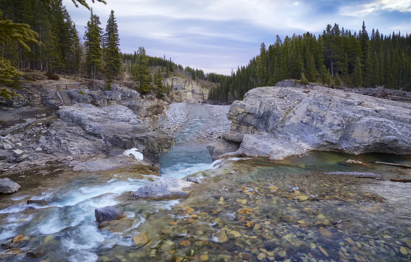 Photo wallpaper forest, trees, mountains, river, stones