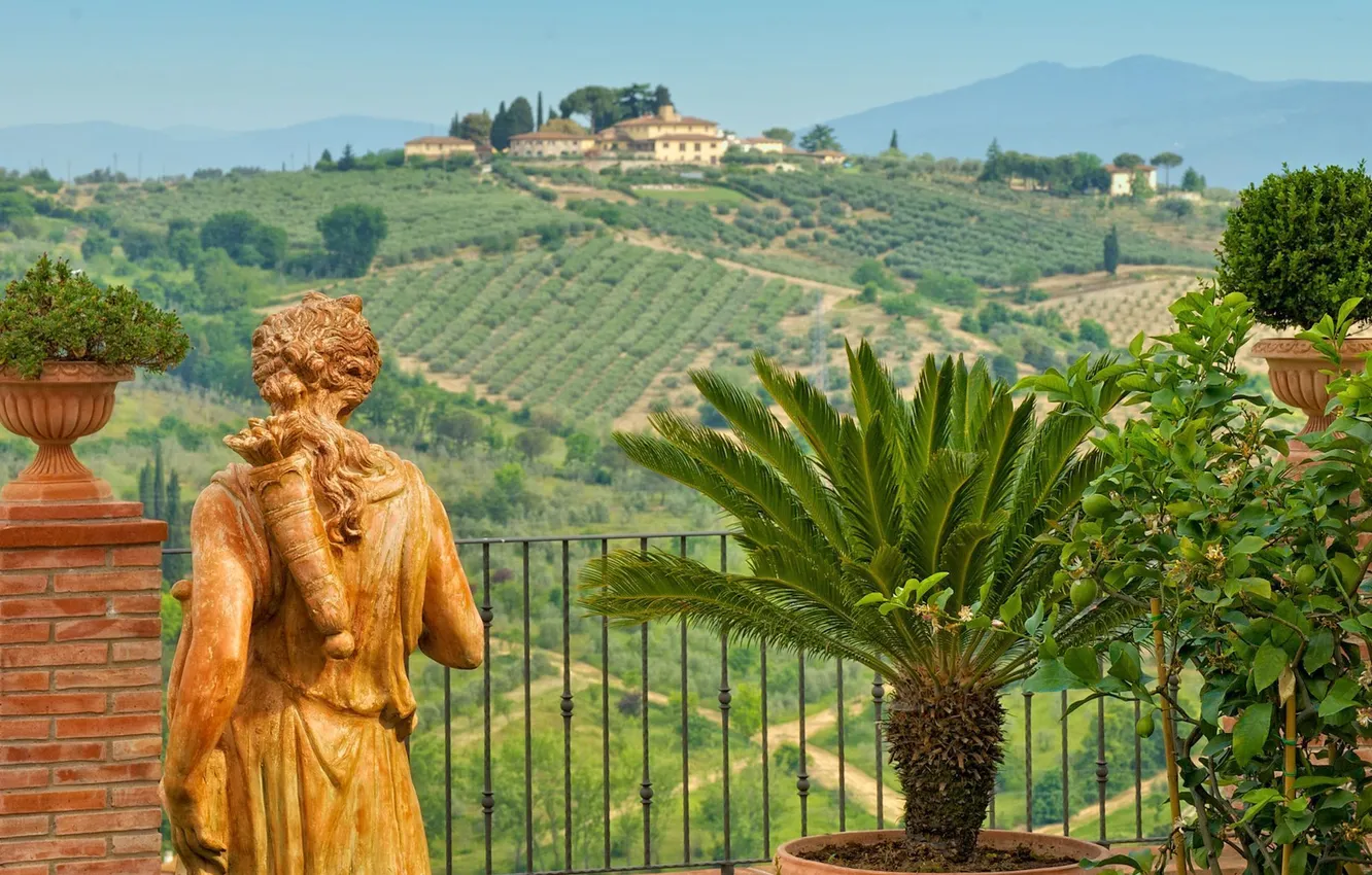 Photo wallpaper field, palm trees, Italy, vase, statue, Italy