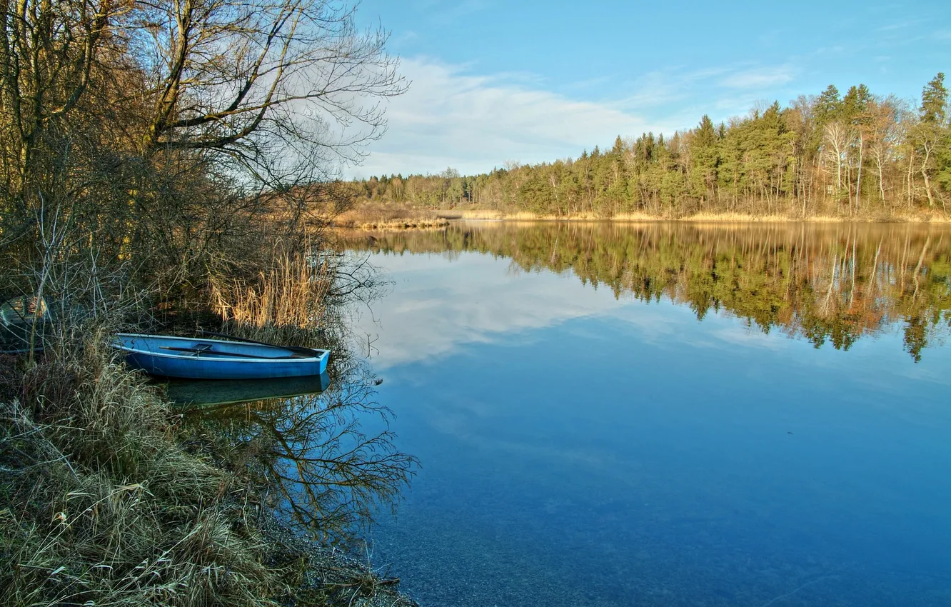 Photo wallpaper forest, grass, trees, river, boat