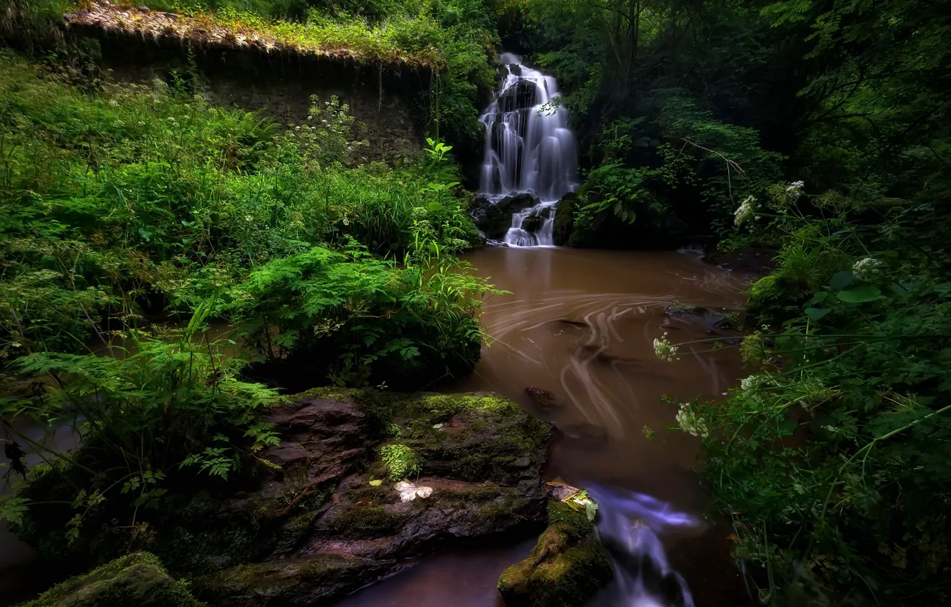 Photo wallpaper forest, river, waterfall