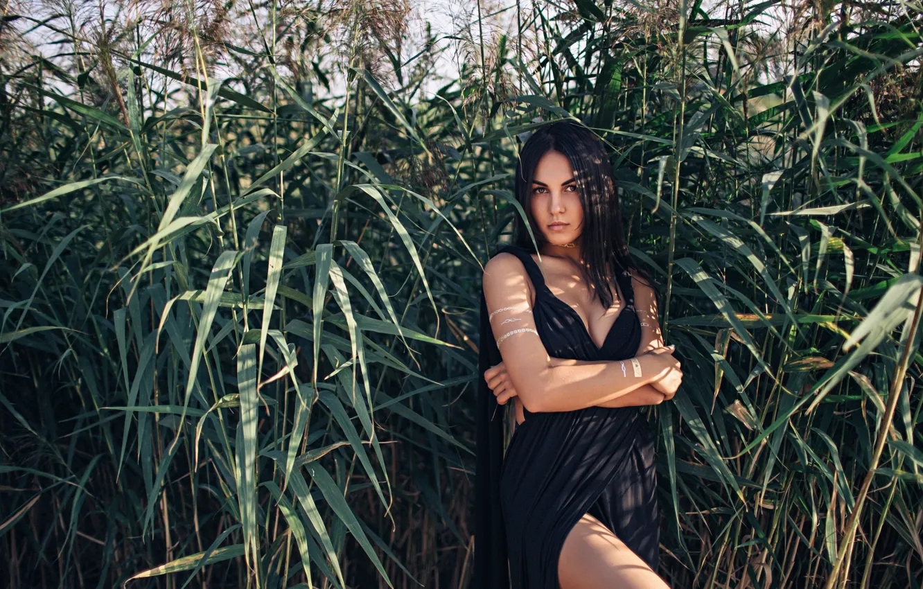 Photo wallpaper grass, look, the sun, sexy, pose, model, portrait, makeup