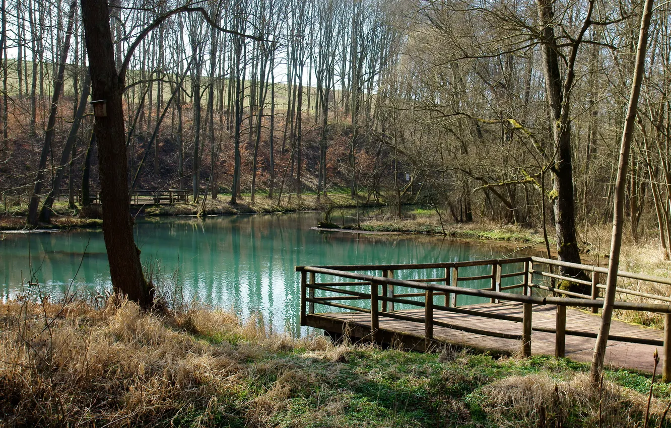 Photo wallpaper lake, pond, birdhouse, the bridge