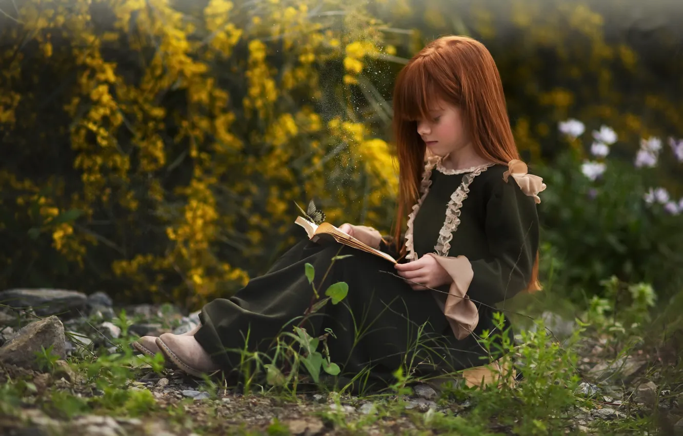 Photo wallpaper butterfly, girl, book
