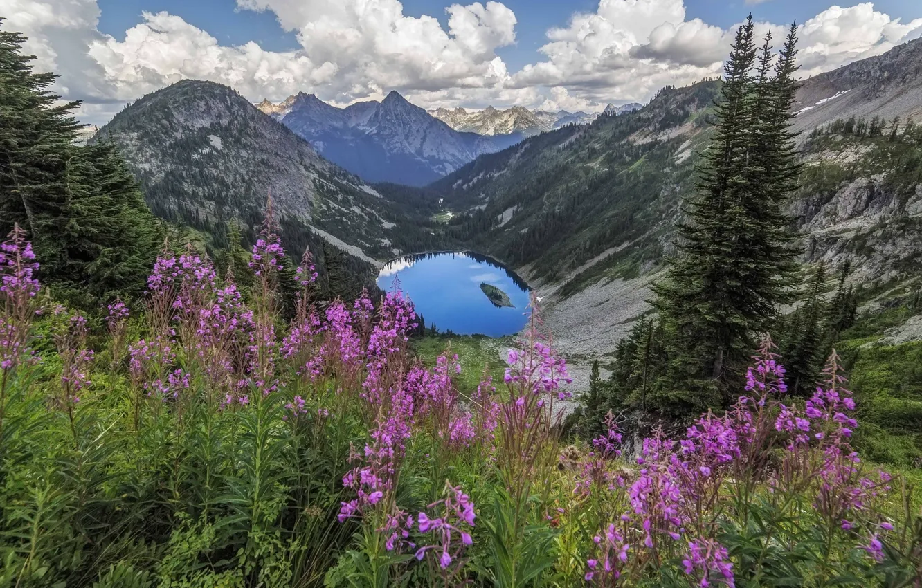 Photo wallpaper flowers, mountains, lake, meadow