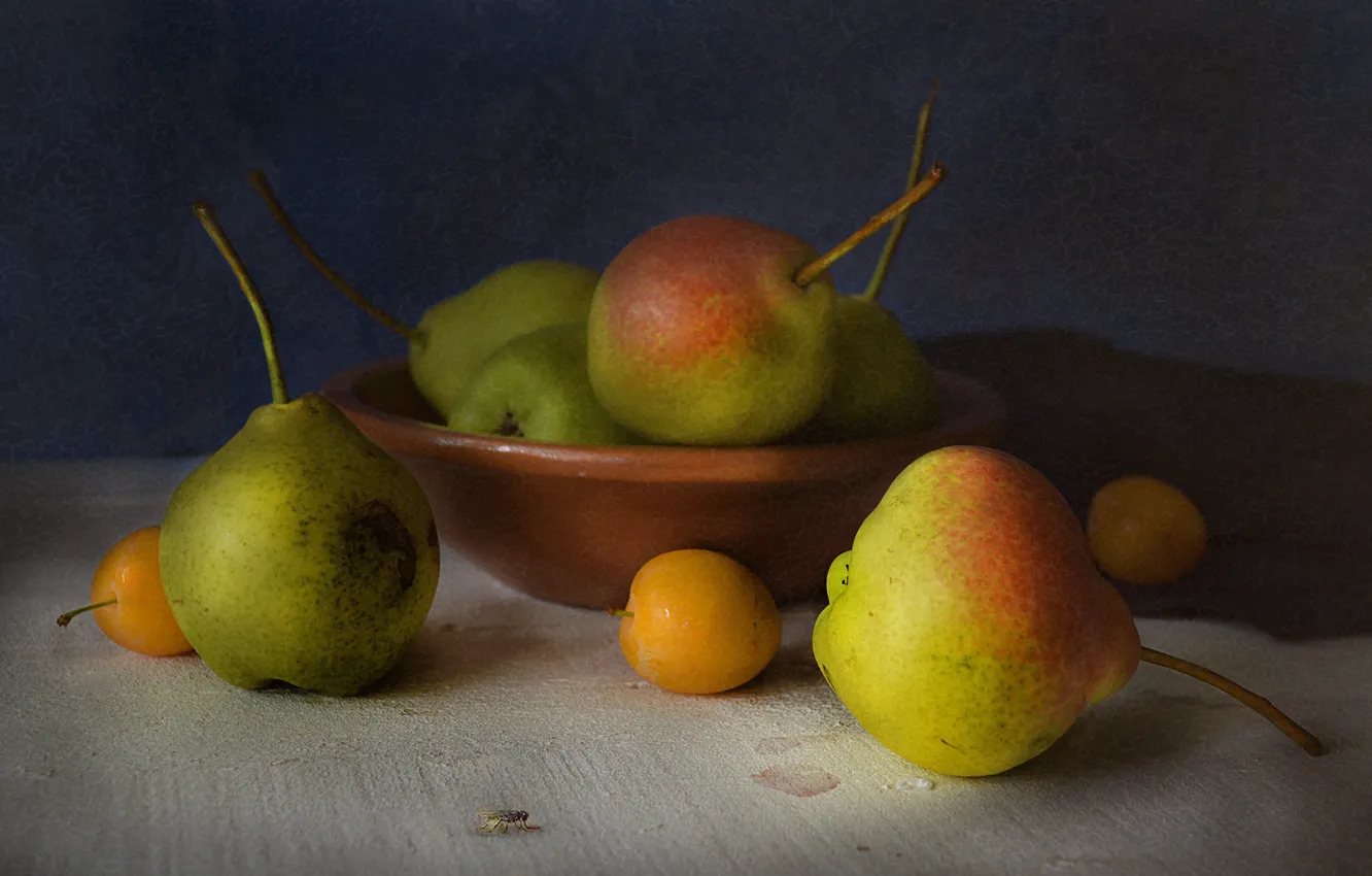 Photo wallpaper table, fly, fruit, pear, fruit, still life, plum