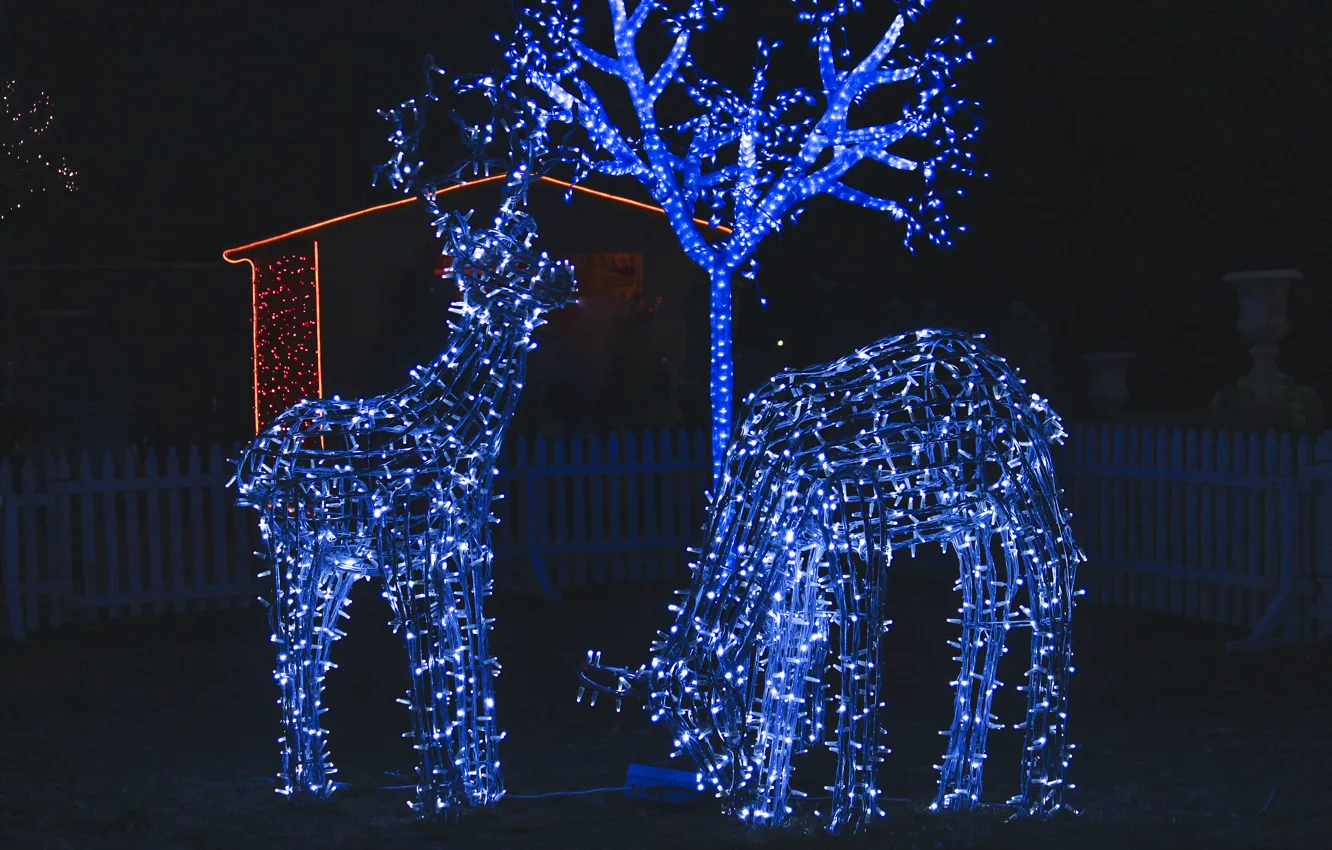 Photo wallpaper deer, decoration, new year
