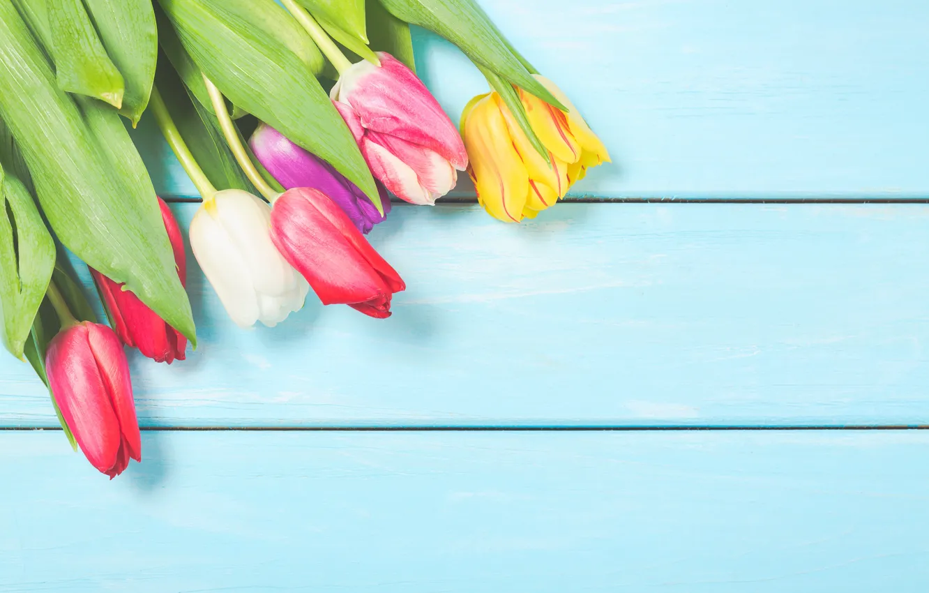 Photo wallpaper flowers, colorful, tulips, wood, flowers, tulips, spring