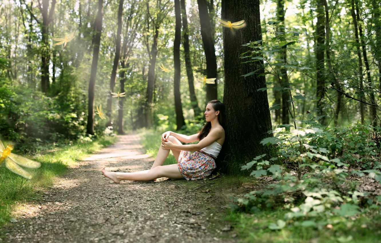 Photo wallpaper forest, girl, nature, butterfly