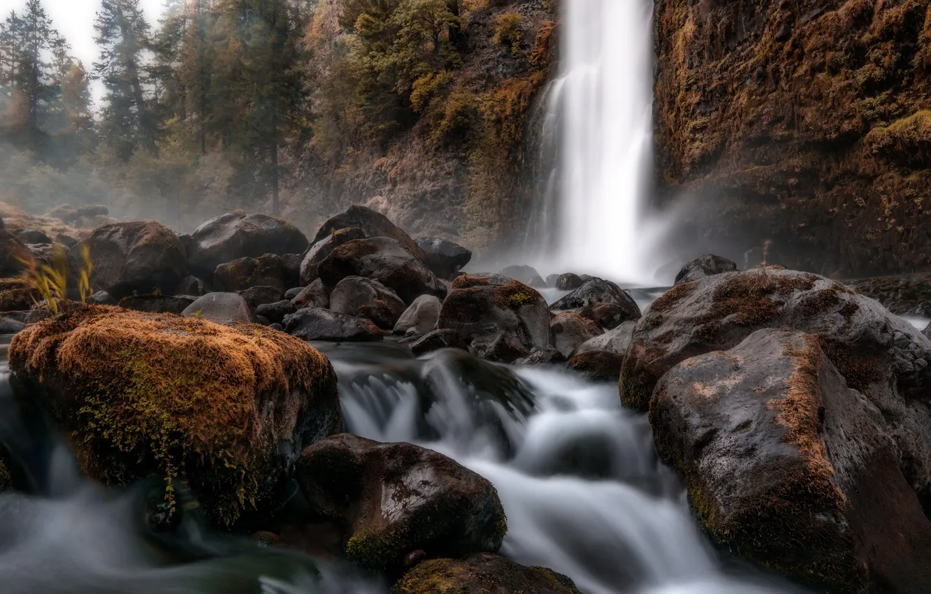 Photo wallpaper autumn, forest, nature, river, stones, waterfall