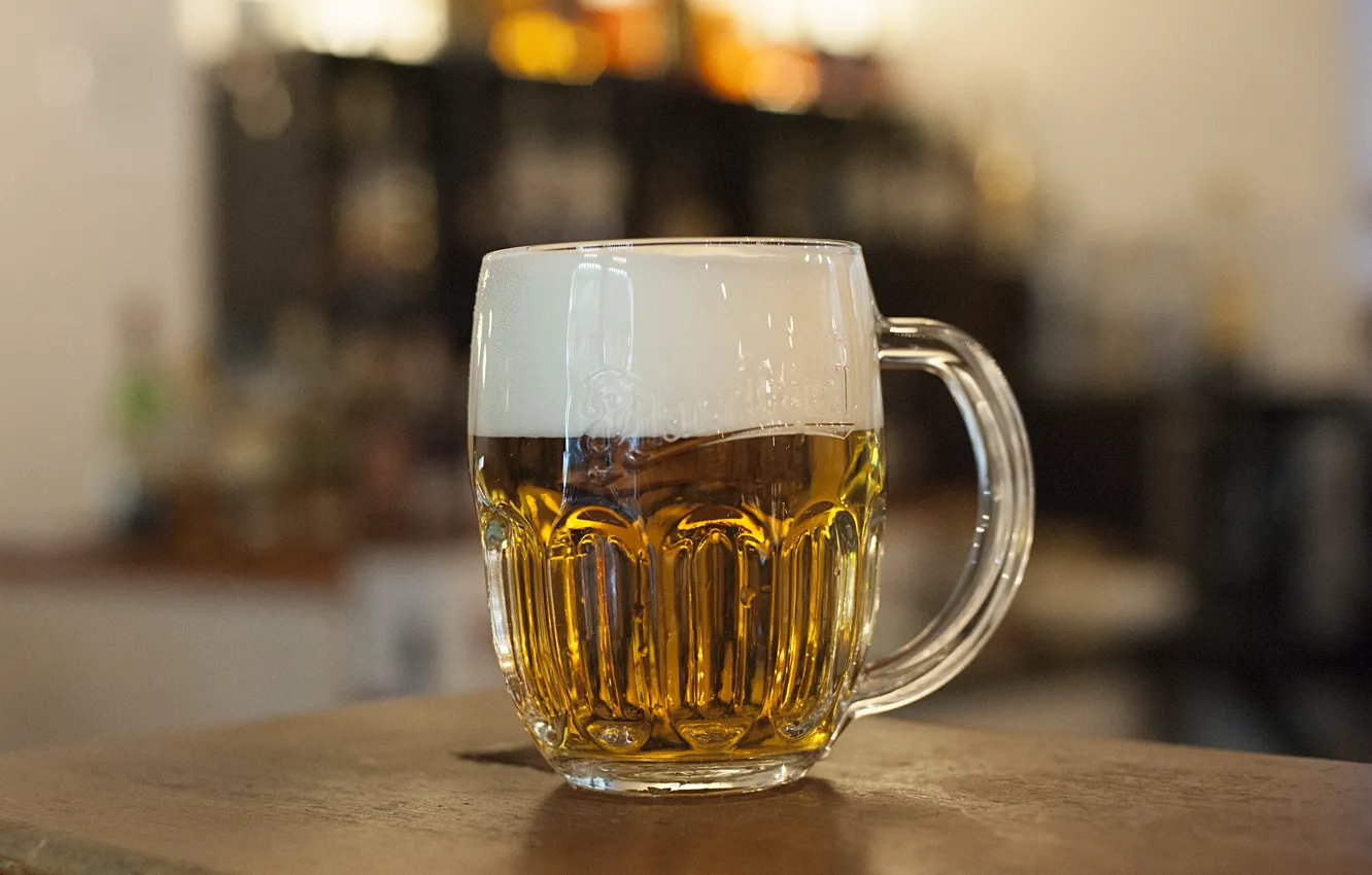 Photo wallpaper fluid, cup, liquid, tableware, beer glass, drinkware, camp, pilsner urquell