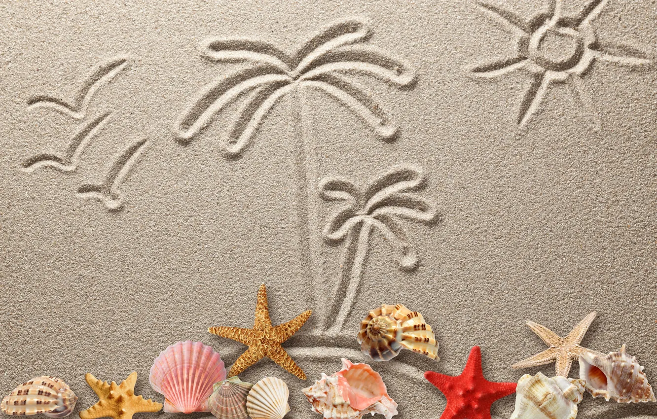 Photo wallpaper sand, figure, shell, texture, sand, drawing, starfish, seashells