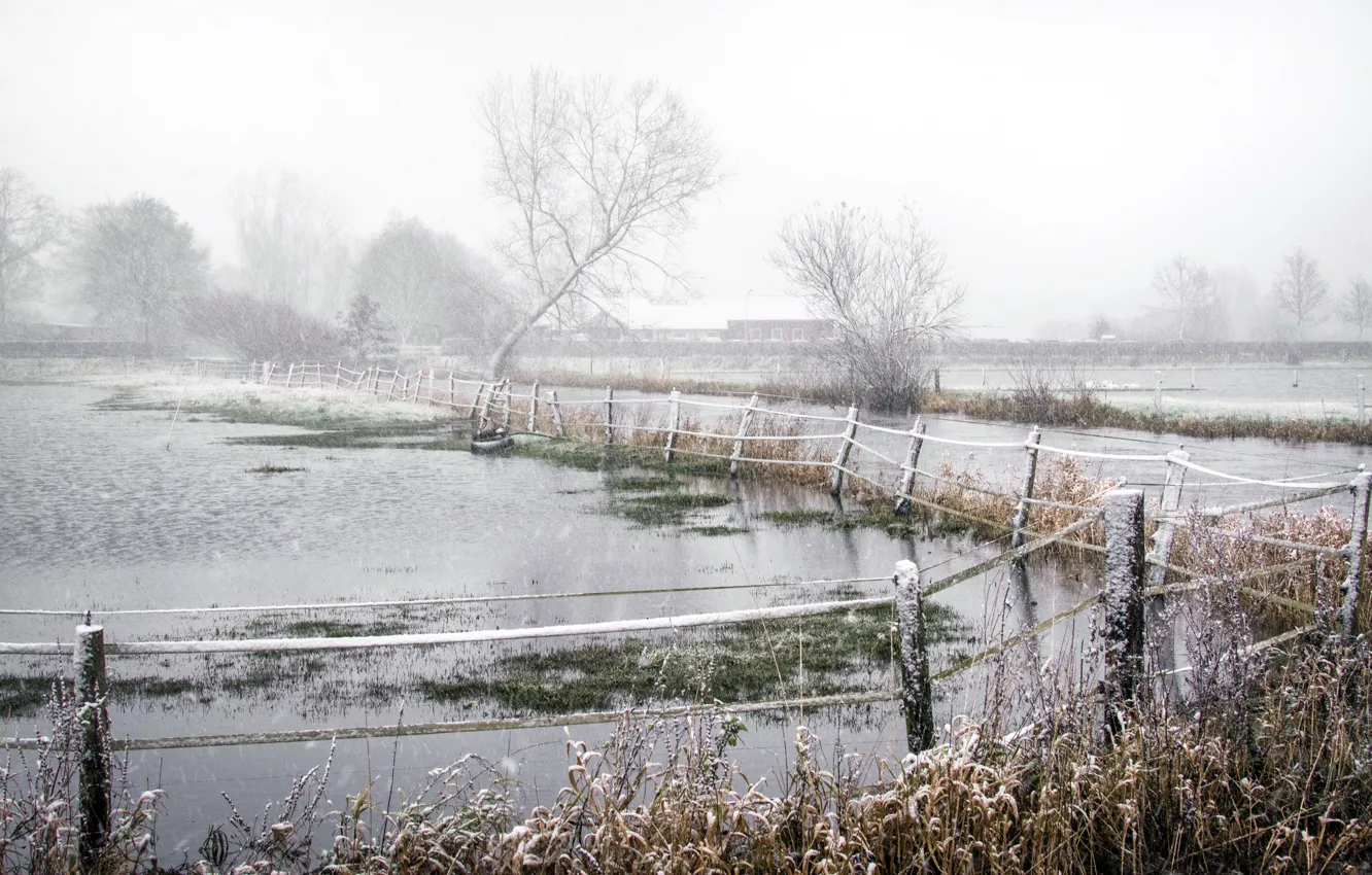Photo wallpaper winter, snow, the fence