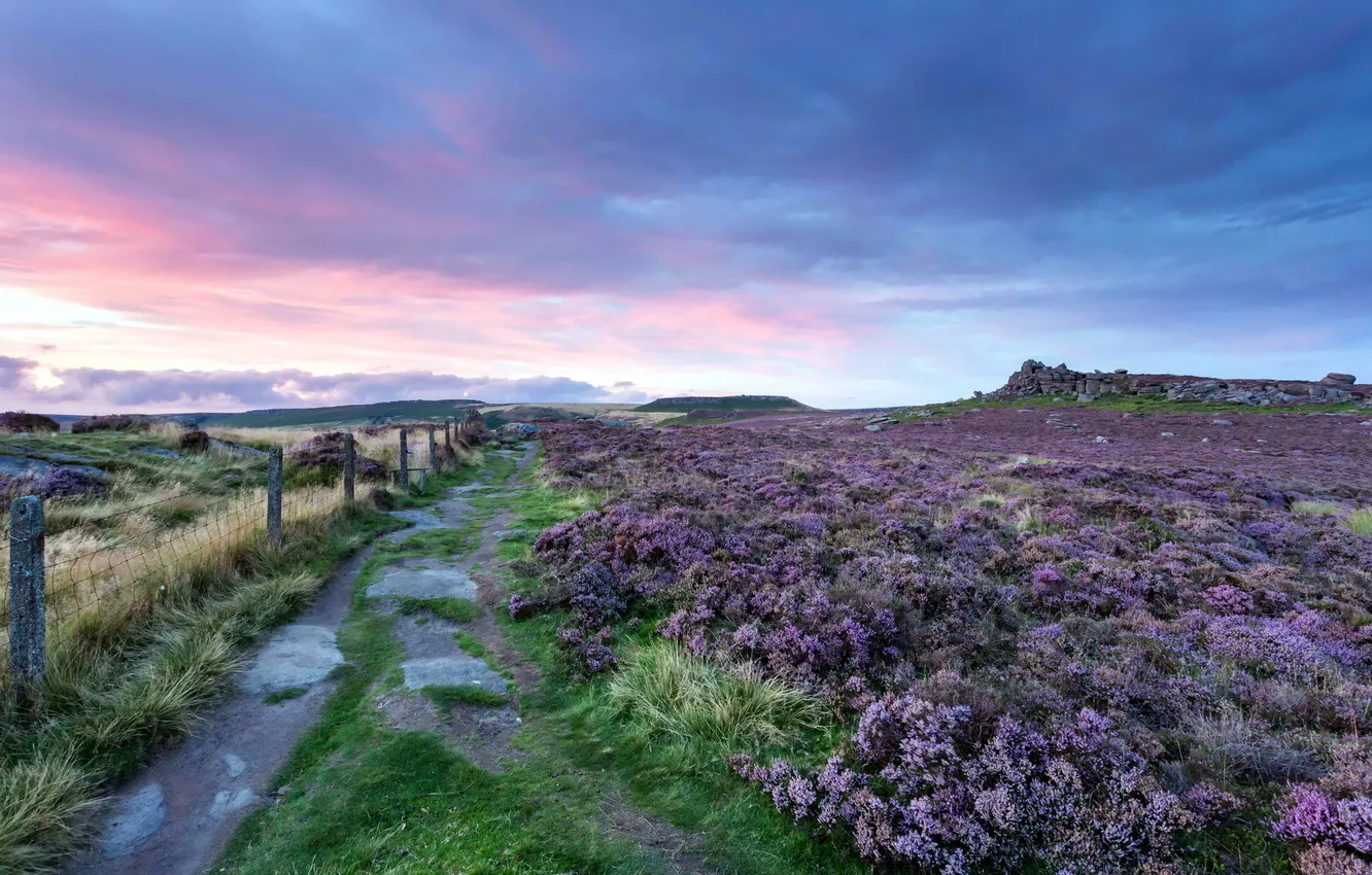 Photo wallpaper sunset, purple, colour