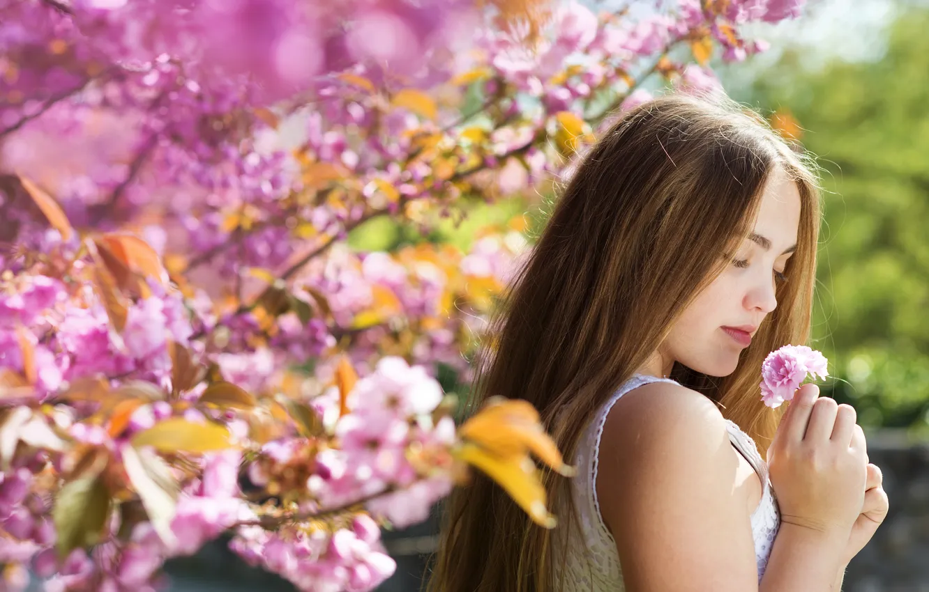 Photo wallpaper girl, flowers, spring, brown hair, flowering trees