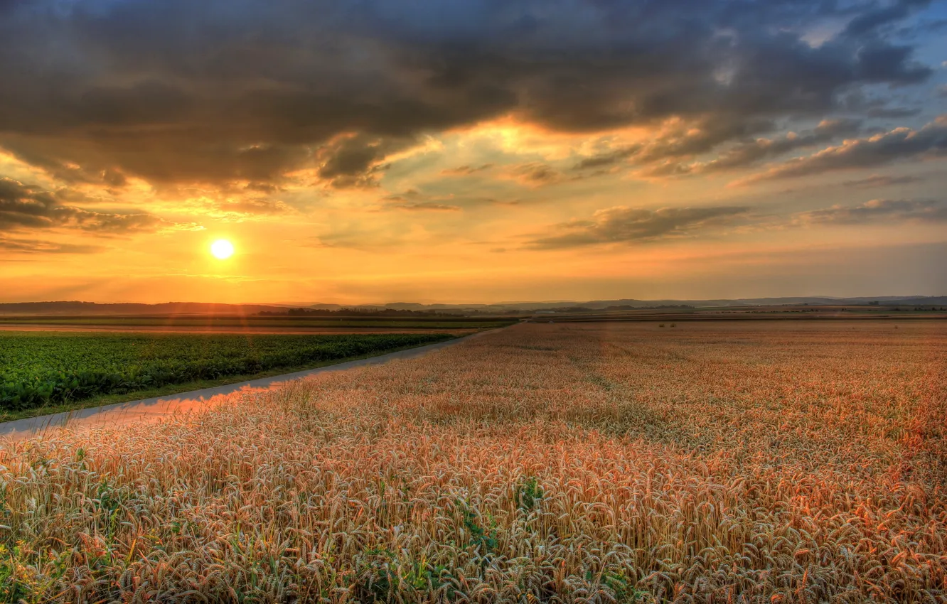 Photo wallpaper field, the sky, the sun, landscape, sunset, nature, photo, dawn