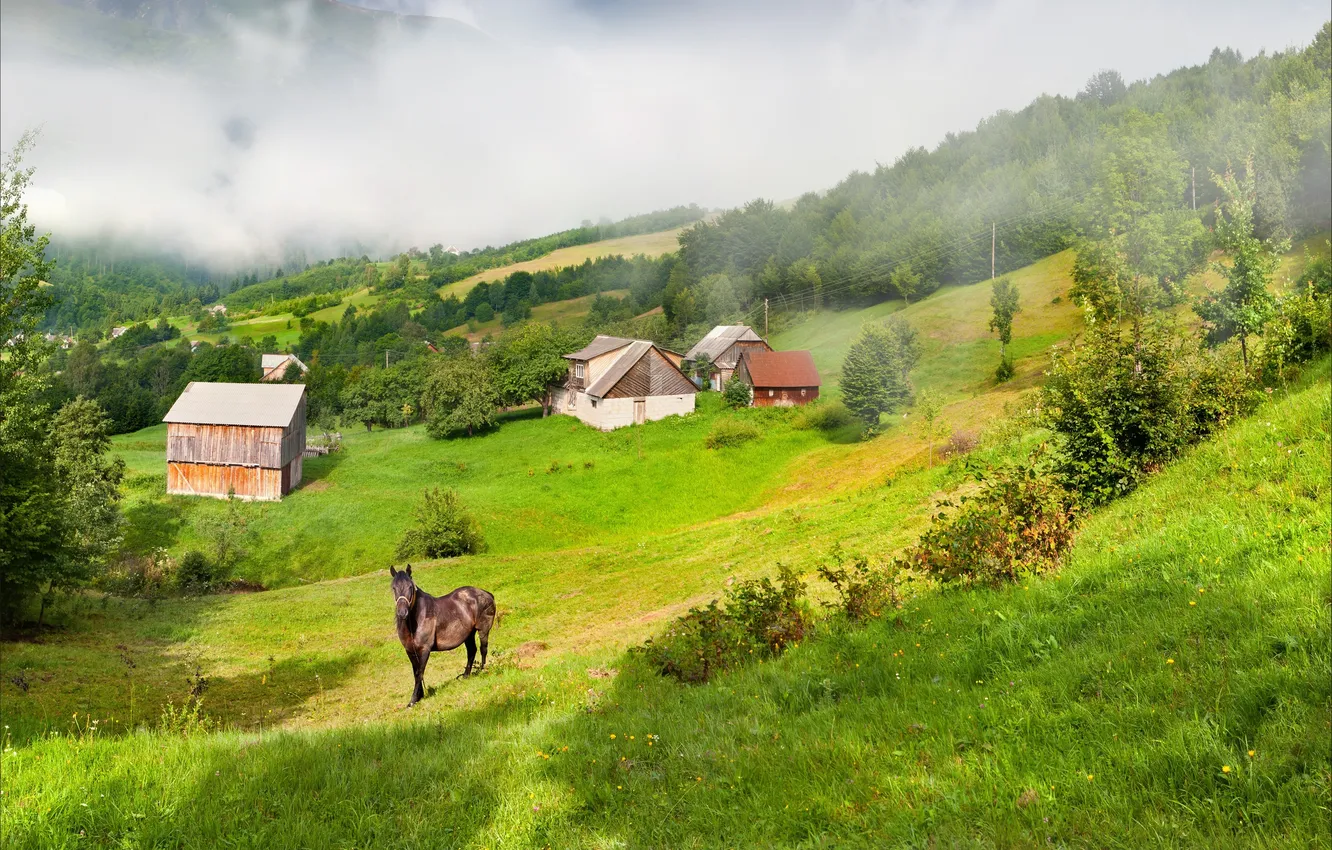 Photo wallpaper grass, fog, horse, home, slope, hills