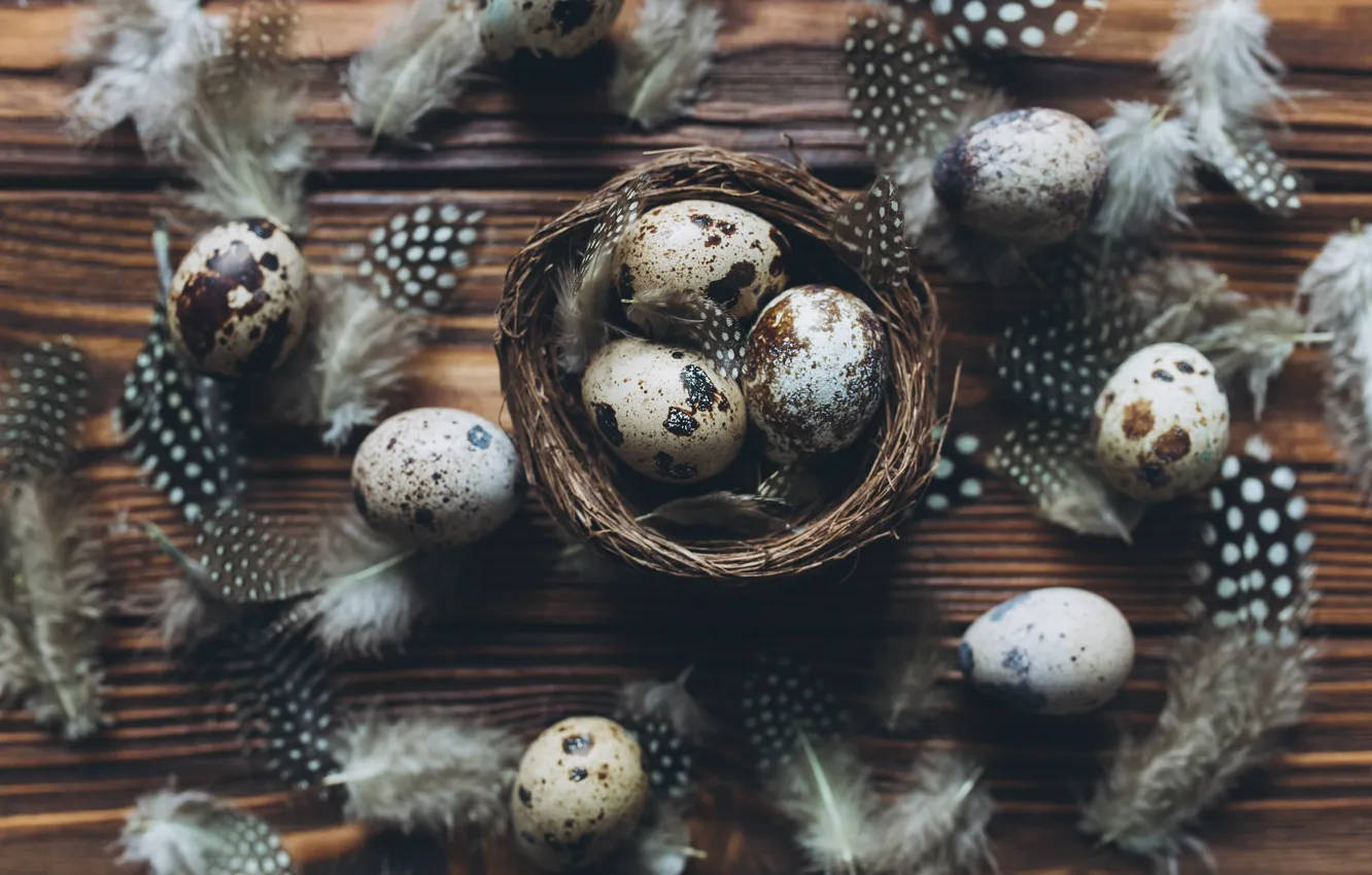 Photo wallpaper eggs, feathers, Easter, wood, spring, Easter, eggs, decoration