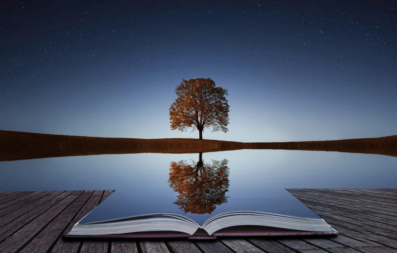 Photo wallpaper water, reflection, tree, book