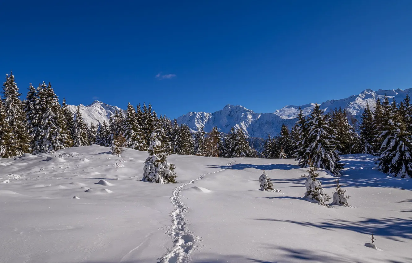 Photo wallpaper snow, mountains, traces, tree