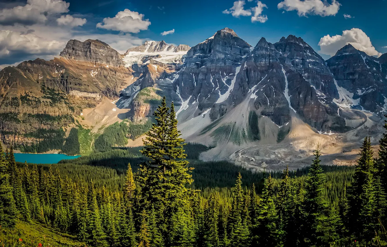 Photo wallpaper forest, mountains, lake, Canada, Albert, Banff National Park, Alberta, Canada