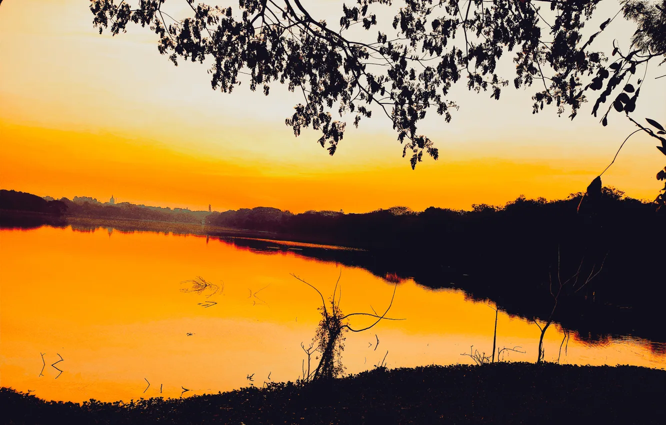 Photo wallpaper trees, water, lake, morning, sun, sunrise, dawn, woods