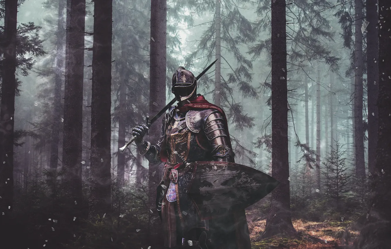 Photo wallpaper forest, weapons, sword, armor, warrior, fantasy, shield, knight