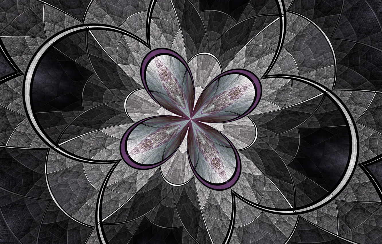 Photo wallpaper flower, line, pattern, arc, fractal