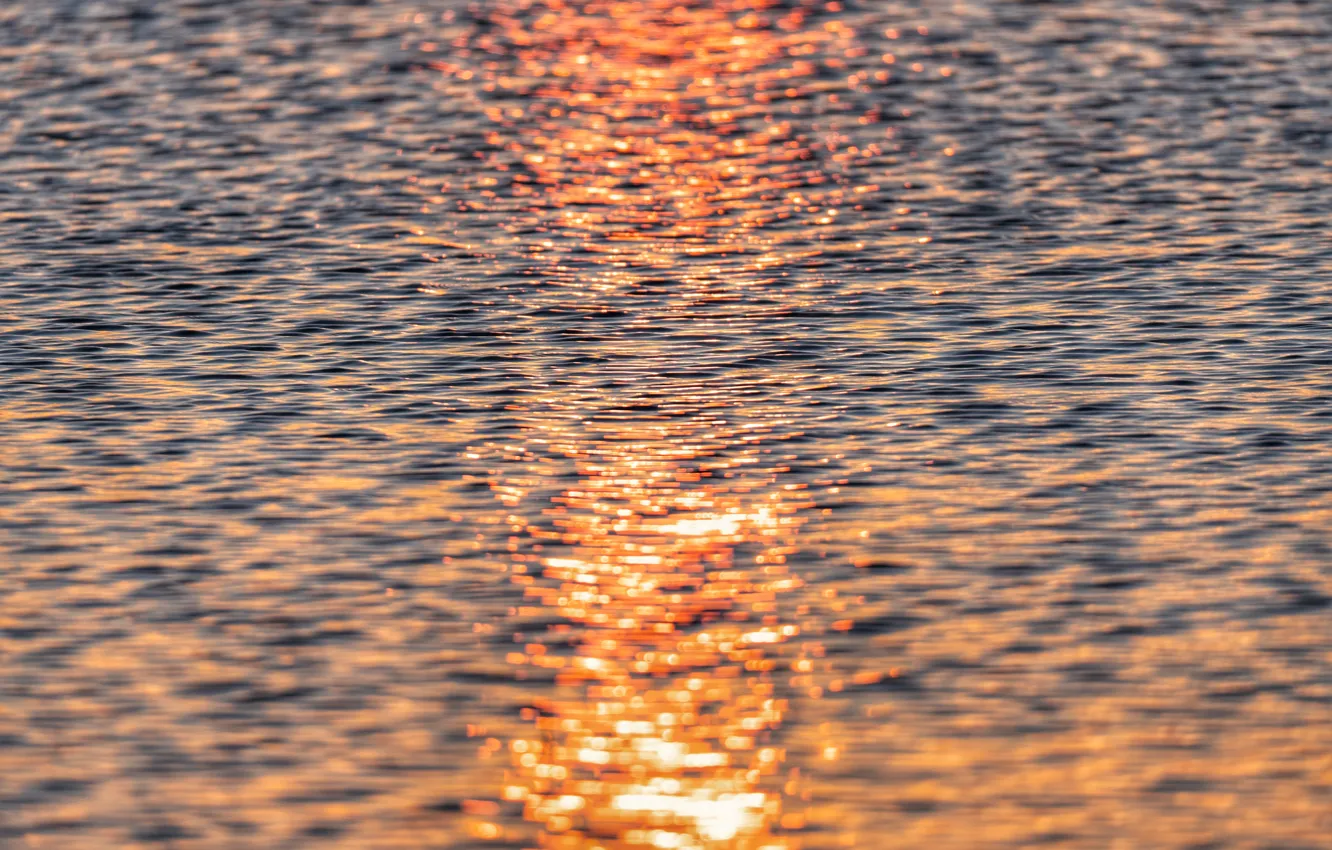 Photo wallpaper lake, dawn, Water