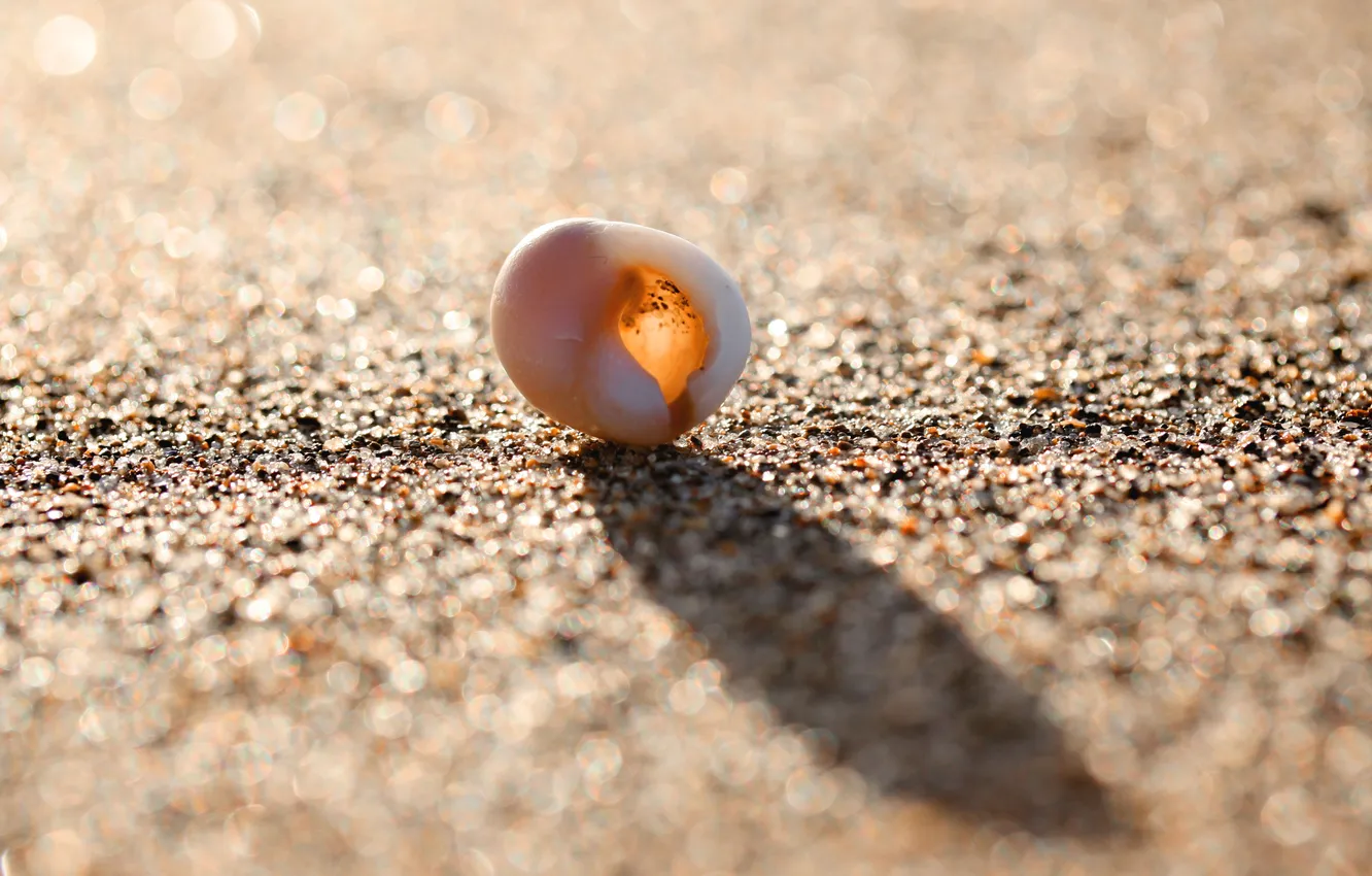 Photo wallpaper sand, beach, summer, the sun, light, joy, glare, stay