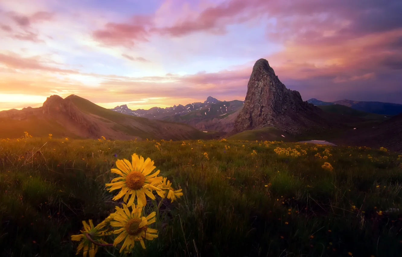 Photo wallpaper sunset, flowers, mountains