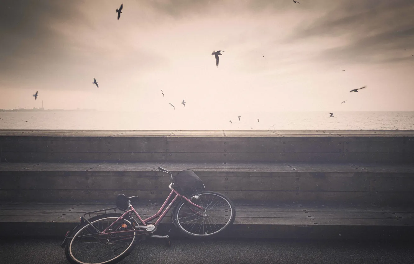 Photo wallpaper bike, sea, seagulls