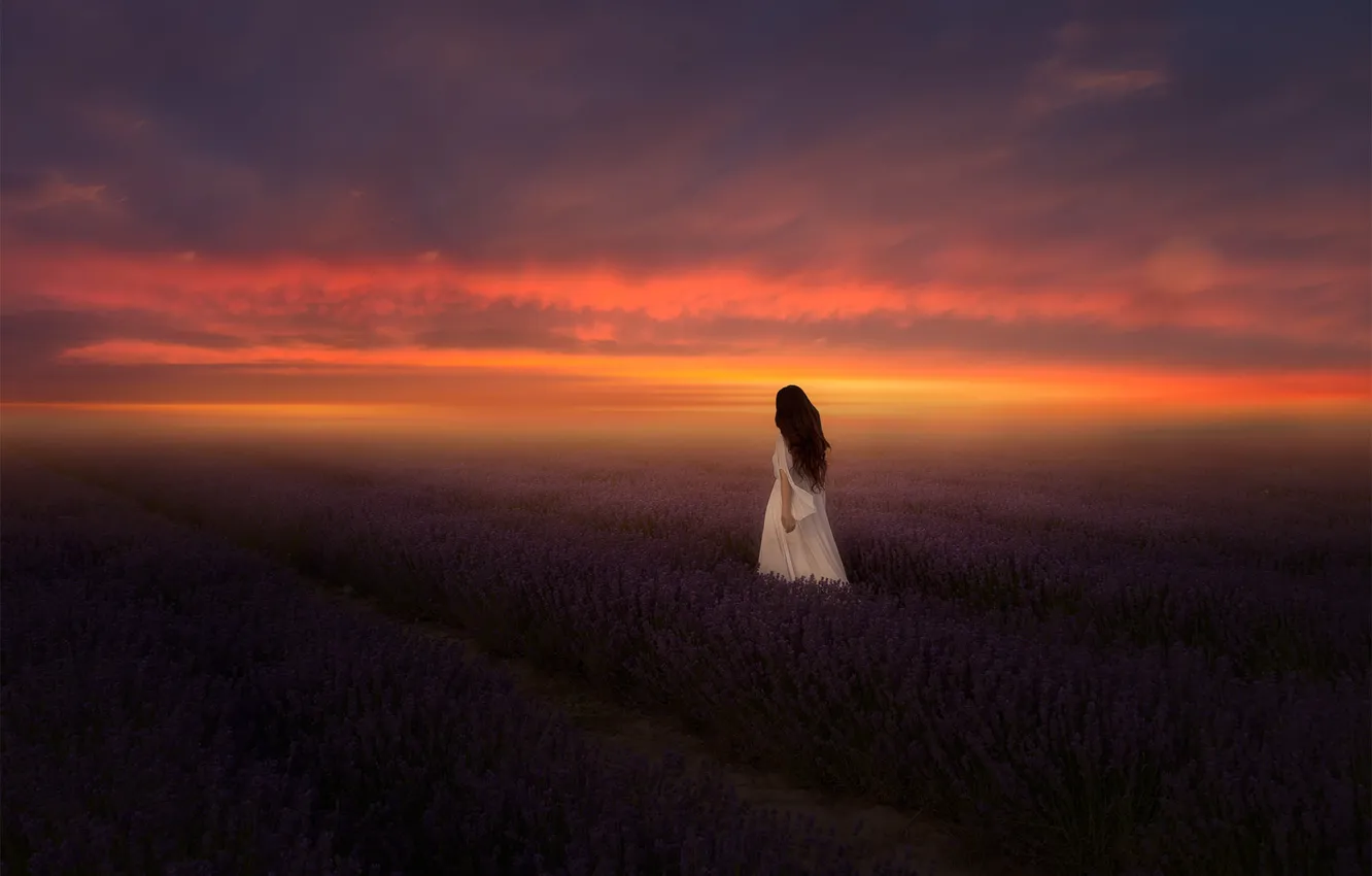 Photo wallpaper the sky, girl, clouds, sunset, flowers, fog, mood, dawn