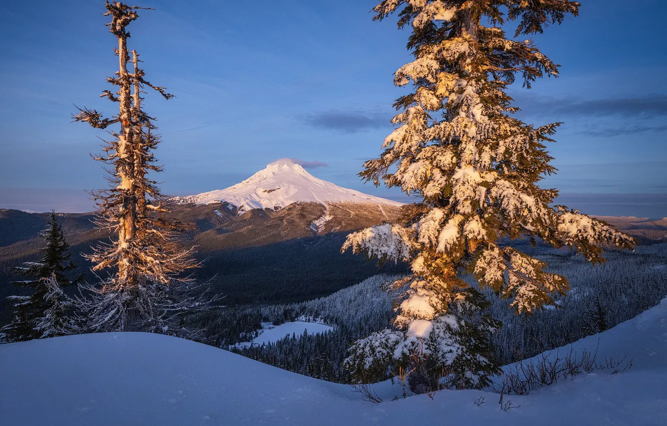 Photo wallpaper winter, snow, trees, mountains, Oregon, Oregon, Mount Hood, The cascade mountains