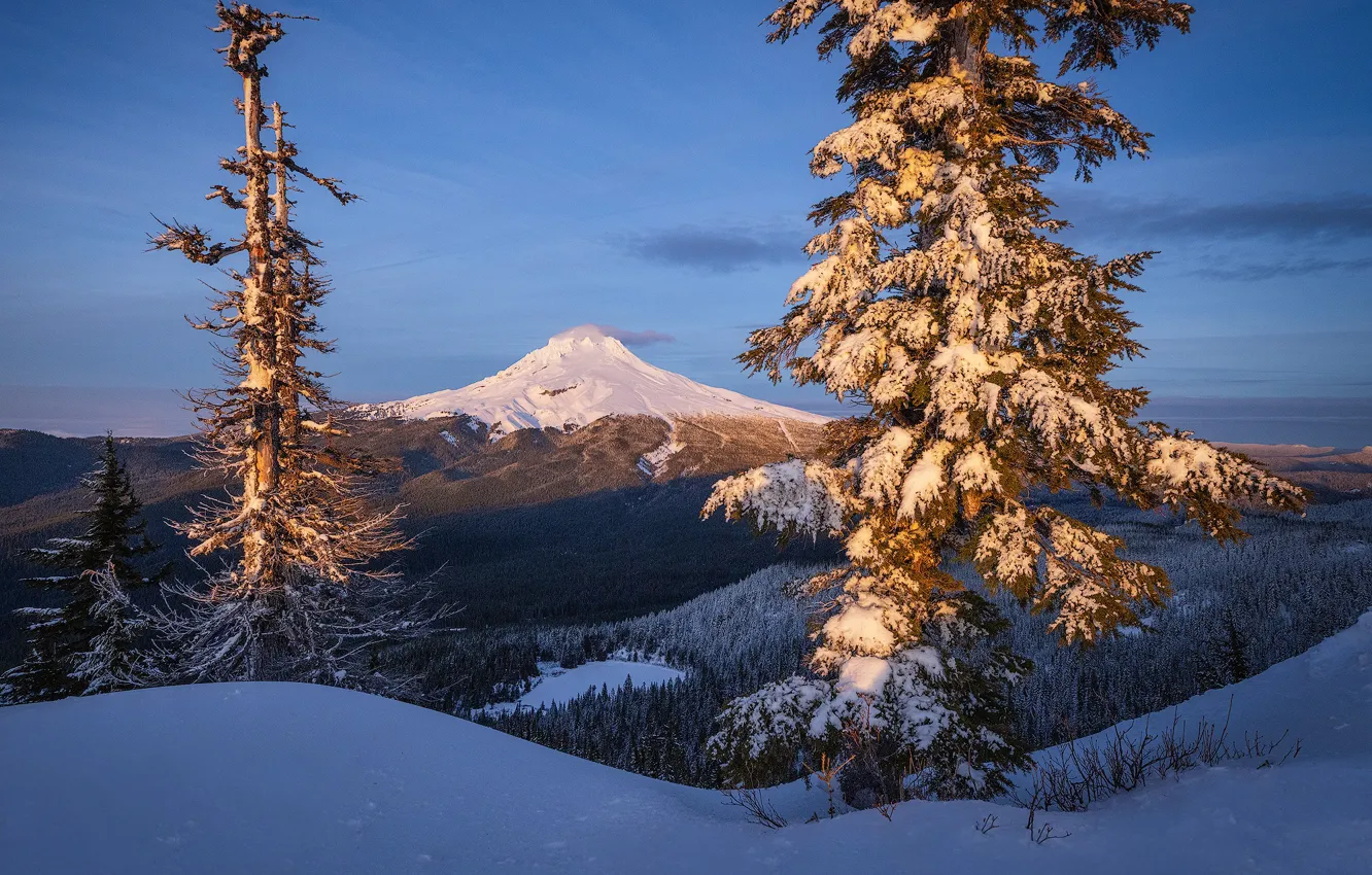 Photo wallpaper winter, snow, trees, mountain, Oregon, Oregon, Mount Hood, The cascade mountains