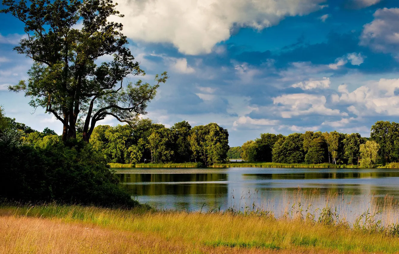 Photo wallpaper wallpaper, summer, nature, picture