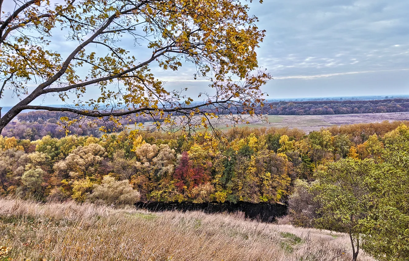 Photo wallpaper autumn, trees, nature, fall colors, the view from the hill