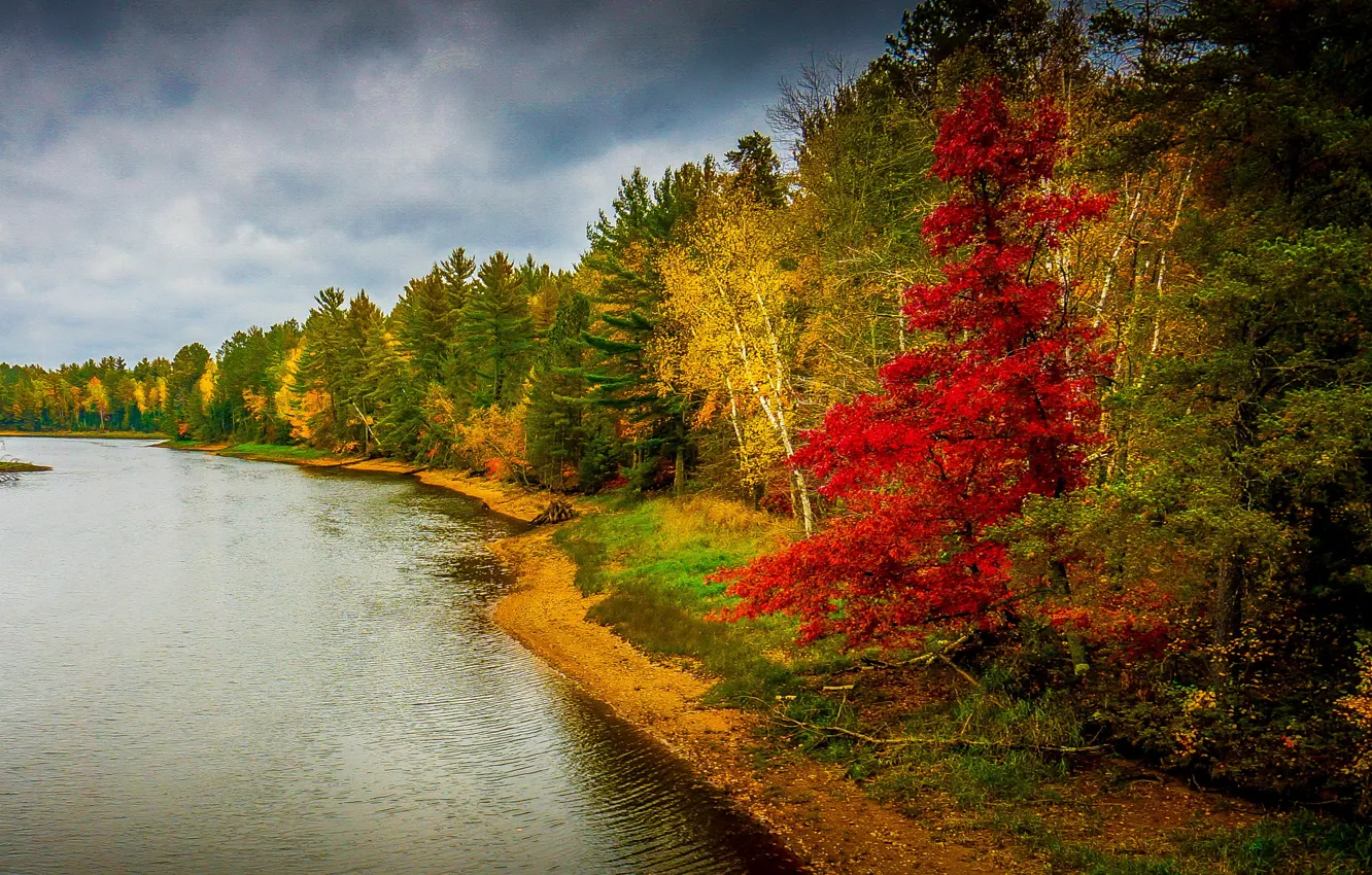 Photo wallpaper autumn, forest, trees, landscape, nature, river, photo
