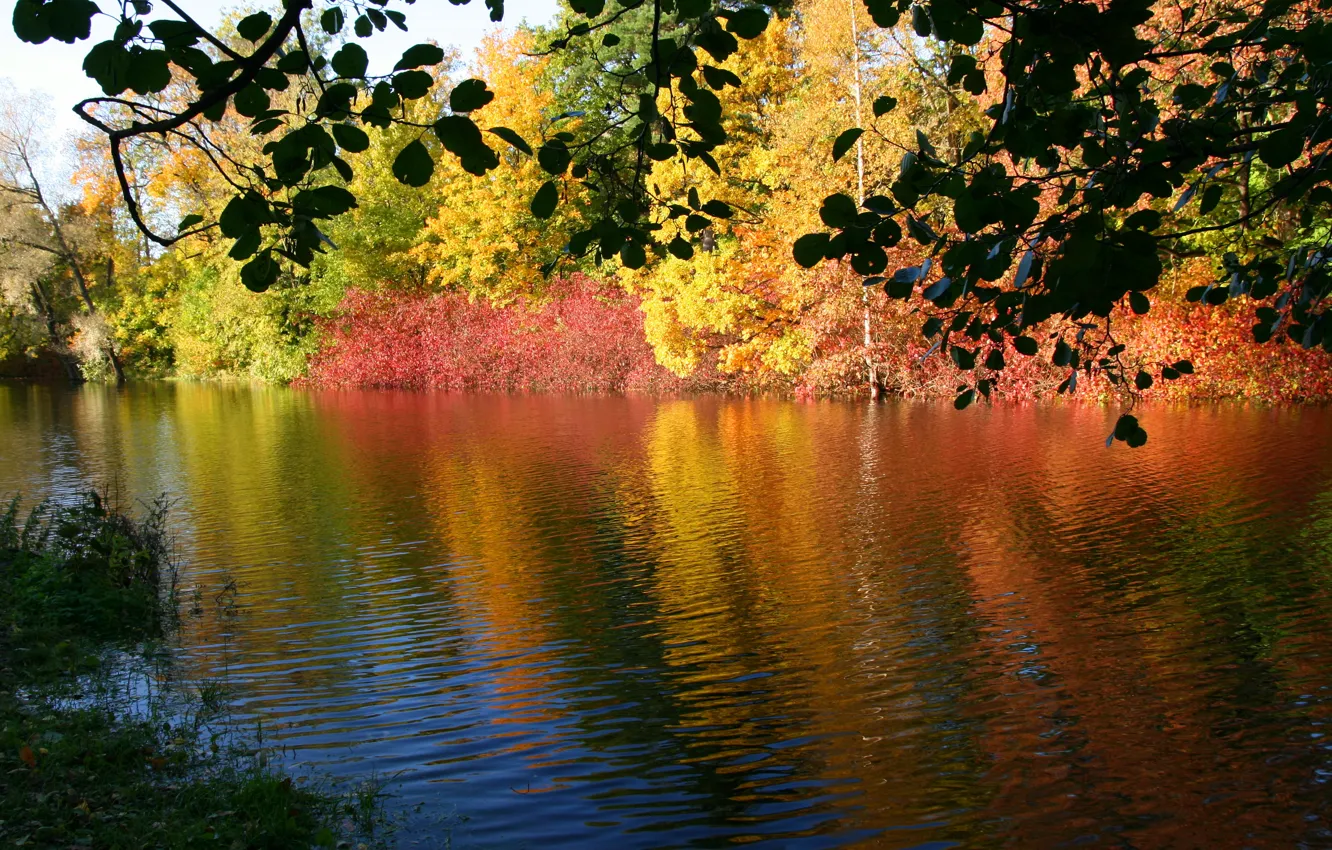 Photo wallpaper autumn, nature, river