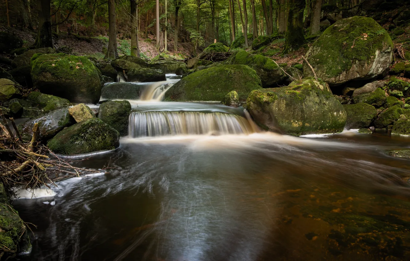 Photo wallpaper forest, river, stones, waterfall, HDR, river in the forest