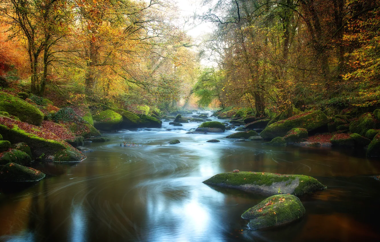 Photo wallpaper autumn, forest, river, stones, foliage, river, pond, Bank